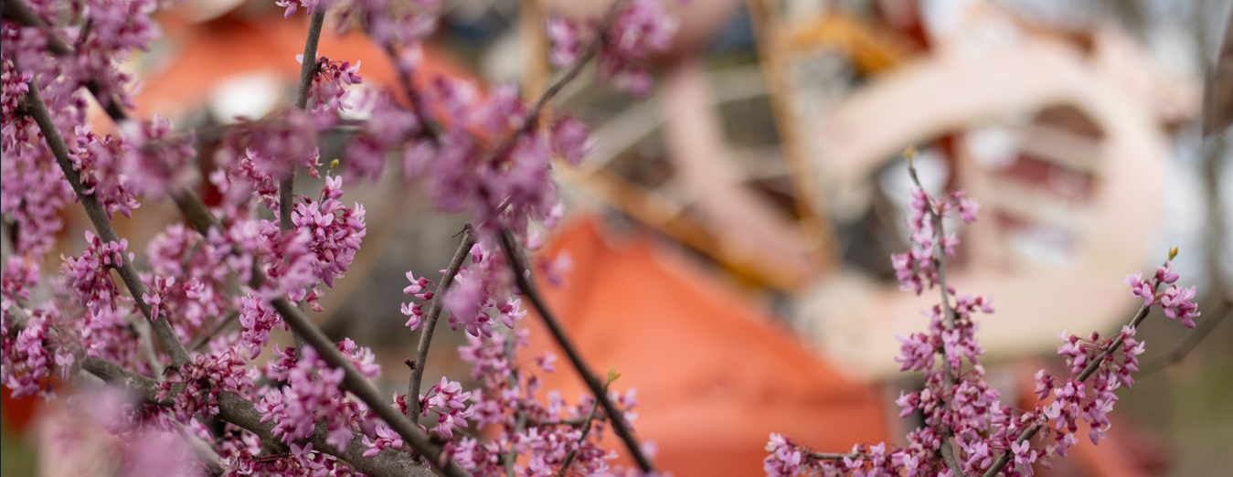 Sculpture Social: Wind Phone by Mollie Rabiner